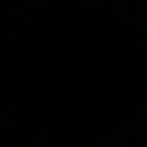 Ralph Lauren Cargo Shorts in Assorted Colors